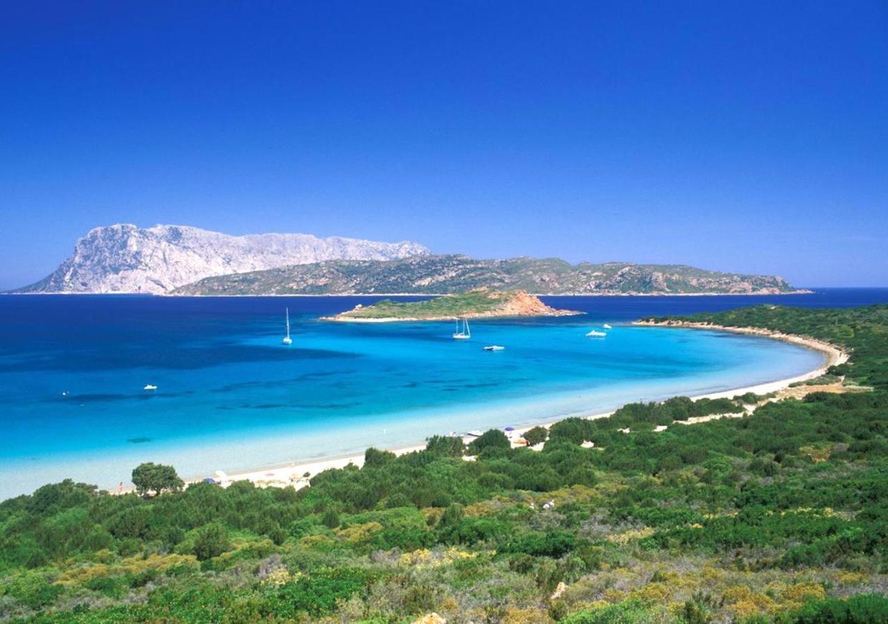 San Teodoro Punta Est Curatissimo Bilocale Apartment Capo Coda Cavallo Luaran gambar